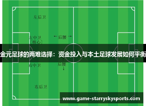 金元足球的两难选择：资金投入与本土足球发展如何平衡