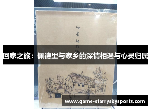 回家之旅:佩德里与家乡的深情相遇与心灵归属