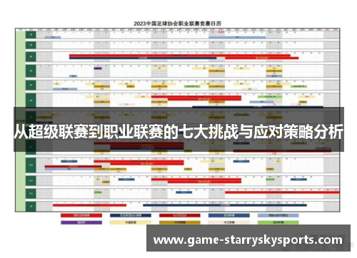 从超级联赛到职业联赛的七大挑战与应对策略分析