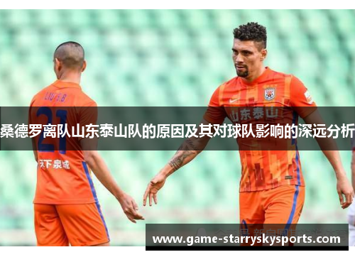 桑德罗离队山东泰山队的原因及其对球队影响的深远分析