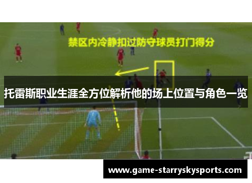 托雷斯职业生涯全方位解析他的场上位置与角色一览