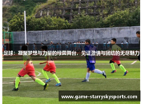 足球：凝聚梦想与力量的绿茵舞台，见证激情与团结的无尽魅力