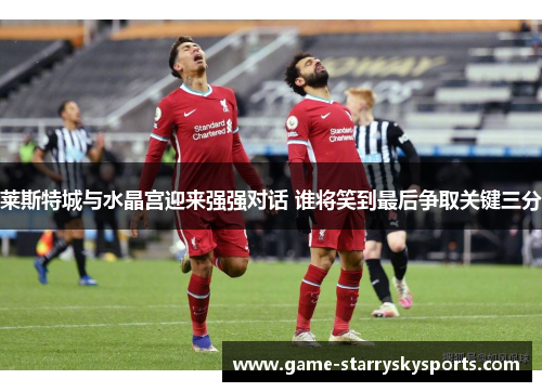 莱斯特城与水晶宫迎来强强对话 谁将笑到最后争取关键三分 莱斯特城与水晶宫迎来强强对话 谁将笑到最后争取关键三分
